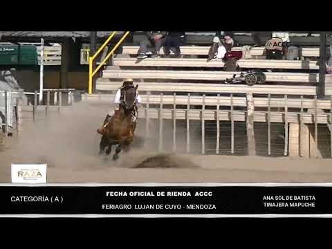 RIENDA FZ BALLESTER CAT   A  ANA SOL DE BATISTA EN TINAJERA MAPUCHE   FERIAGRO   JULIO 2021
