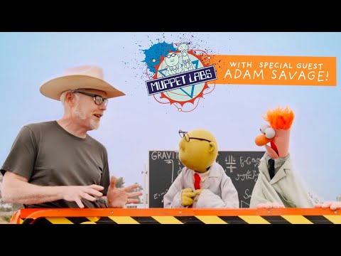 Muppet Labs Field Test: Gravity! Featuring Adam Savage | The Muppets