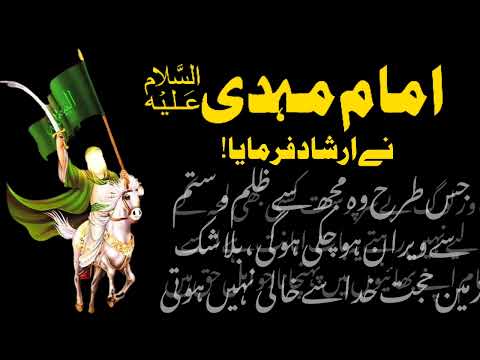 Divine Quotes of Hazrat Imam Mehdi (AS)| Guidance for the Whole World| Jaffery Official
