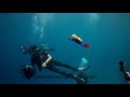 Baby Bath Toy Wind Up Diver