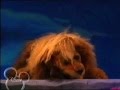 Frank Oz Performing A Lion On Muppets Tonight Billy Crystal 1996