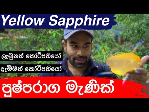 පුෂ්පරාග මැණික් ලැබුනත් දැම්මත් කෝටිපතියෝ - Yellow Sapphire #gemstones #gems #srilankagems #fyp