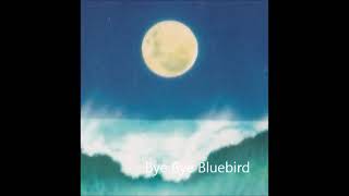 Boney M.  Bye Bye Bluebird - Summer