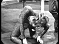 Pidax Die Rudi Carrell Show 2 1967 9 TV Show