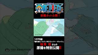 アニメ「#ONEPIECE」見放題配信への追加は木曜日‼️1170話‼️ #onepiece #原撮