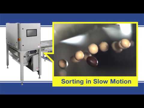 Belt Type Optical Sorter Slow Motion Video