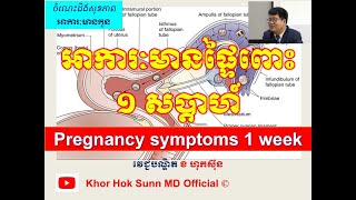 អាការៈមានផ្ទៃពោះ១ សប្តាហ៍ l Pregnancy symptoms 1 week l សញ្ញាមានផ្ទៃពោះ l @khorhoksunnmdofficial