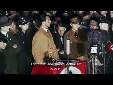 Book Burning in Berlin - 1933
