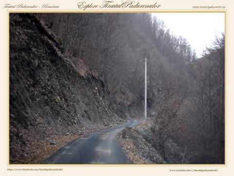 Ghelari - Plop  -- Explore Tinutul Padurenilor