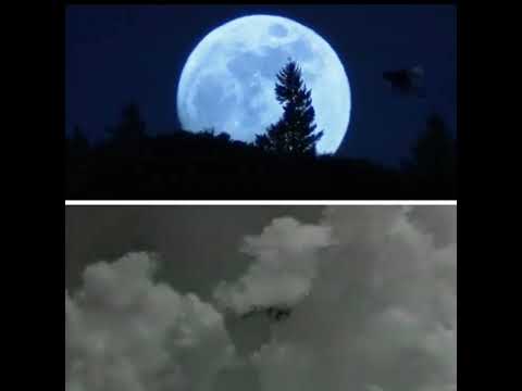 Orchestralli   Equalizer I + E.T. & Miracle in Milan