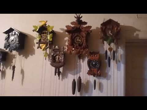 Hanging up a cuckoo clock after you have it in beat. 20220209 121711