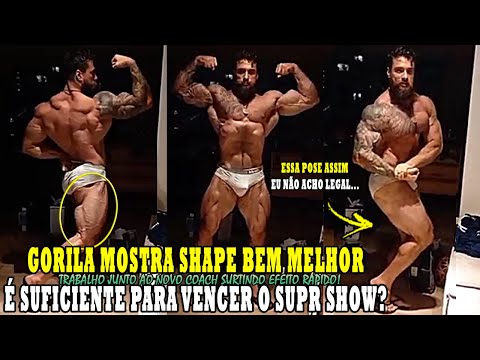 GORILA MOSTRA NOVO SHAPE! DA PRA BRIGAR COM RAMON E ZANCA NO TOP3? DA PARA VENCER PH E OS DEMAIS?