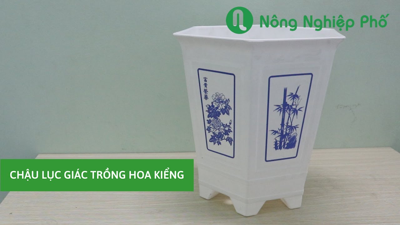 Chậu lục giác in họa tiết 35X35H