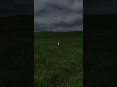 Qual desses vídeos tem mais sua vibe? #viral #fy #foryou #vibes #goodvibes #aesthetic