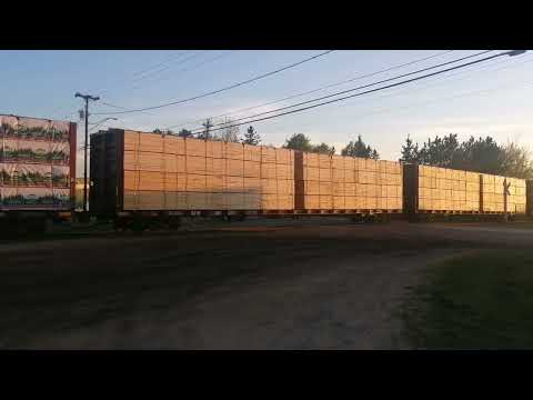 Local CN 535 serving Grand Lake Timber in Chipman NB