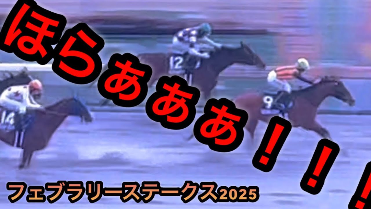 【フェブラリーステークス2025】だって調教良かったもん！！！【コスタノヴァ】
