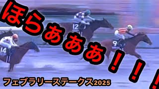 【フェブラリーステークス2025】だって調教良かったもん！！！【コスタノヴァ】