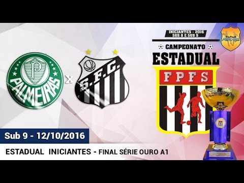 9- Palmeiras 6x0 (0x1) Santos 12/10 Final Estadual A1