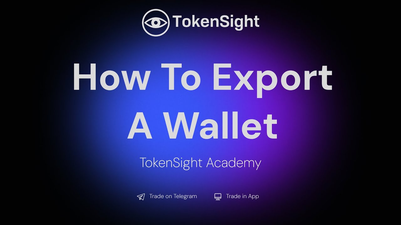 How To Export A Wallet | TokenSight Academy