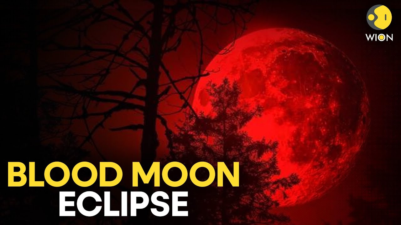 Blood Moon Alert: Sky Watchers Get Ready For The First Total Lunar Eclipse Of 2026  | WION Originals