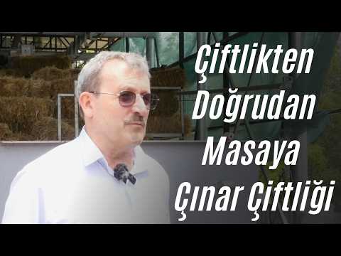 Hobiden Lezzet İmparatorluğuna: Çınar Çiftliği ve Çınar Lahmacun