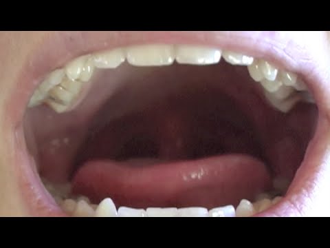 The Llaf of Omsihcam