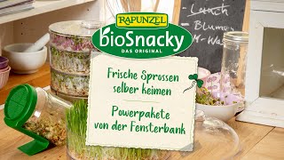Frische Sprossen selber keimen – mit Rapunzel bioSnacky