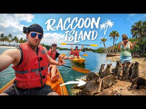 VERSTECKT IN MIAMI! Die geheime Insel der Waschbären | Florida Roadtrip - Folge 07