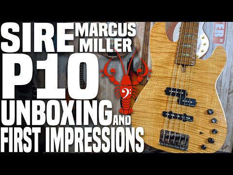 Sire P10 Unboxing & First Impressions - The Flagship Sire comes forth! - LowEndLobster Fresh Look