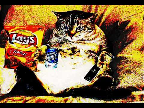 3y3b4ll - Fat Cat