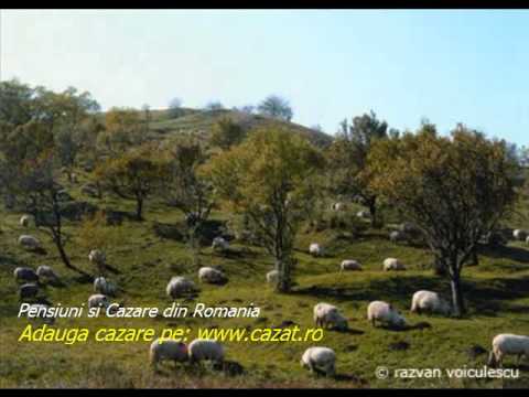 Cazare Mariteia Mica, Suceava - Cazat.ro