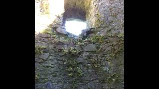 The King in Yellow Chapter 1