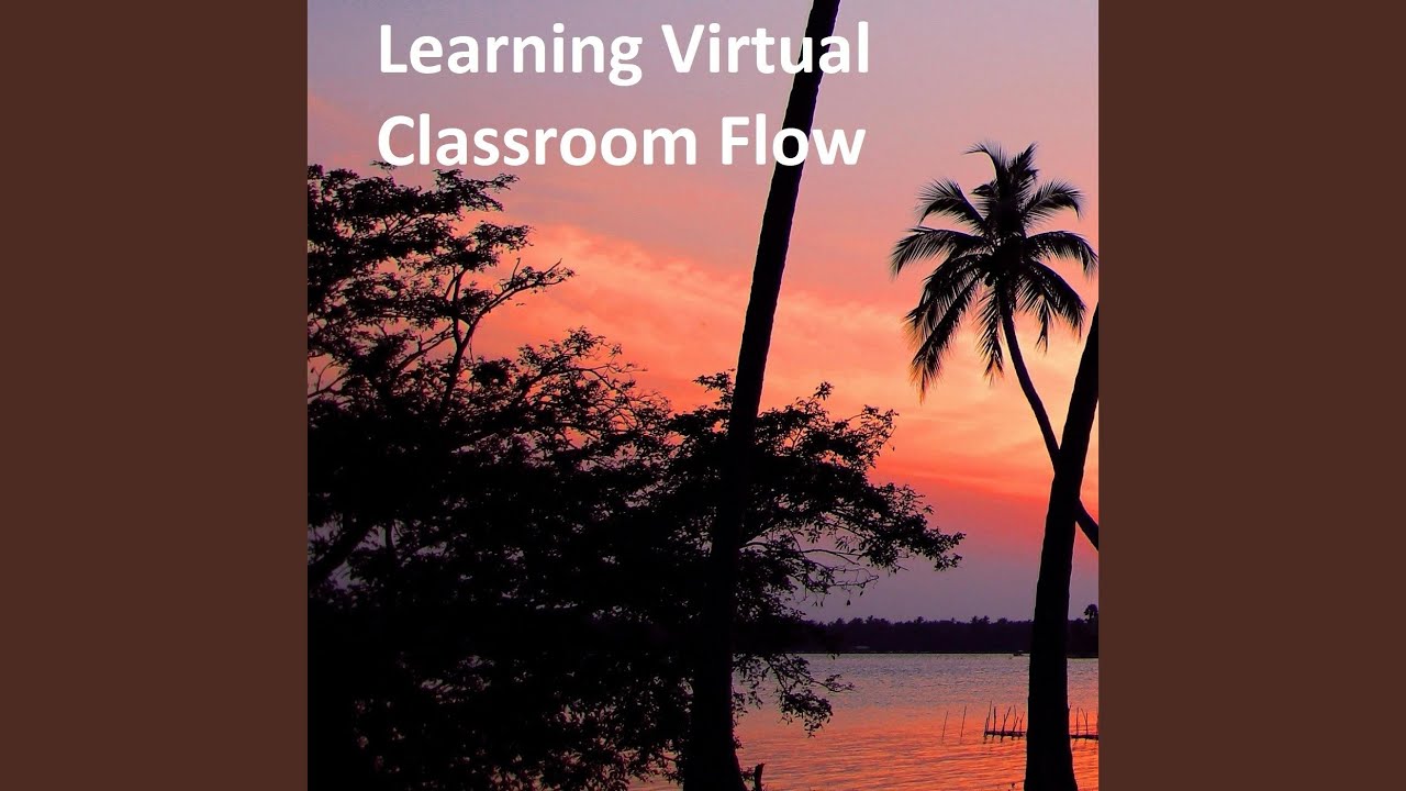 Learning Virtual Classroom Flow
