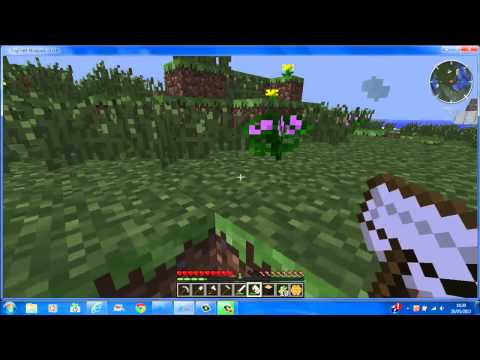 Yogcraft Episode 1 "Bees and Trees"