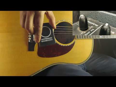 WAMBOOKA ANTIFEEDBACK