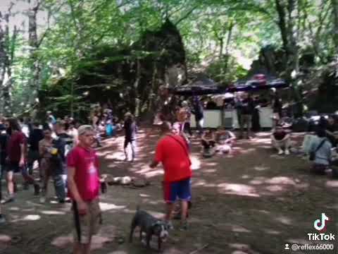 Mental Summer 2.0 Hallucidité/Audiocartel 27/08/2022