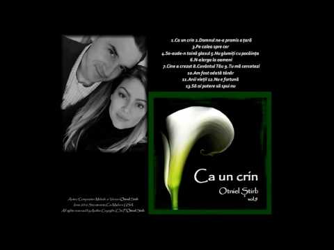Otniel Știrb - Ca un crin [Official Audio]