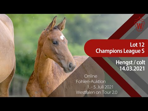 "Westfalen on Tour 2.0"-Auktion - Lot 12 Champions League S v. Comme il faut NRW - Conthargos