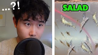 Breeding Shrimp FOR FOOD | Fish Tank Review 203