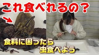 この世のほとんどの虫は食べられるらしい。