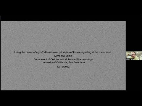 Using the Power of Cryo-EM to Uncover Principles of Kinase Signalling at the Membrane