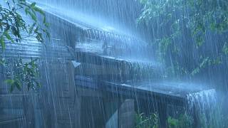 (No Ads) Heavy Rain & Thunderstorm on Metal Roof | Deep Sleep White Noise for Relaxation