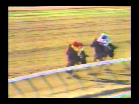 1981 Haskell Invitational Stakes - Five Star Flight