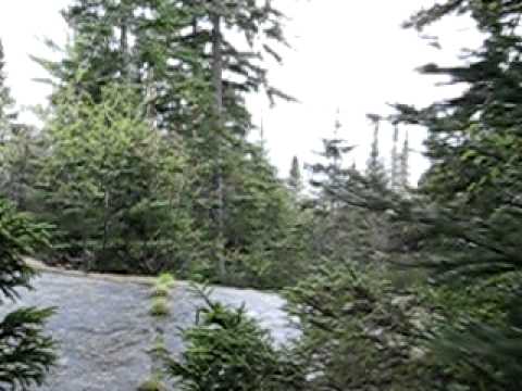 Wolfgang Press - Sucker