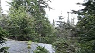 Wolfgang Press - Sucker