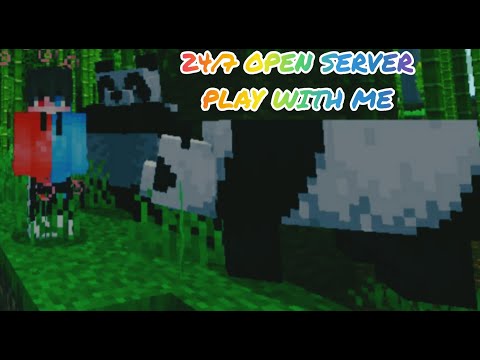 INSANE Minecraft Live Server Gameplay 24/7! Join Now!