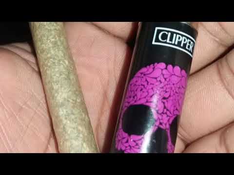 Miclo - Insano - 💀💥