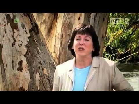 Dokument Śladami Jezusa Biblijne Krajobrazy Izraela Chrystus z Nazaretu Zbawiciel Lektor PL DownTube