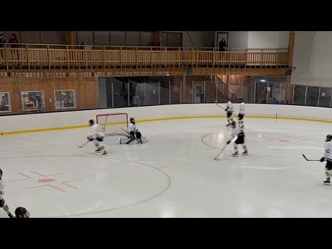 Sthlm hockeycup GT-AIK Team 08