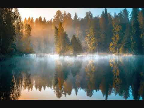 Albinoni - Concerto Op 2 № 1 for strings and basso continuo in F